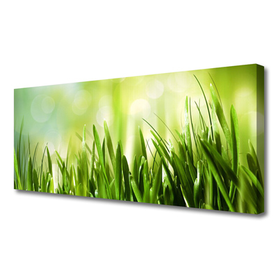 Canvas Kunstdruck Gras Natur