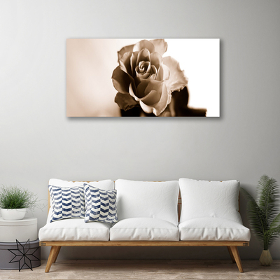 Canvas Kunstdruck Rose Pflanzen