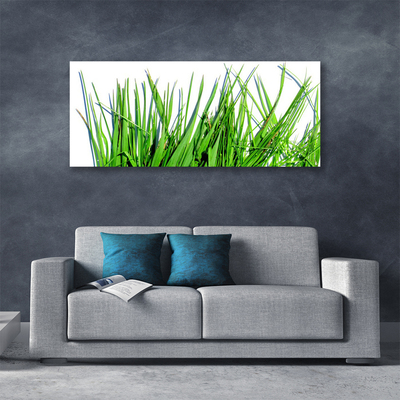 Canvas Kunstdruck Gras Pflanzen