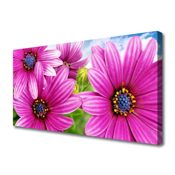 Canvas Kunstdruck Blumen Pflanzen