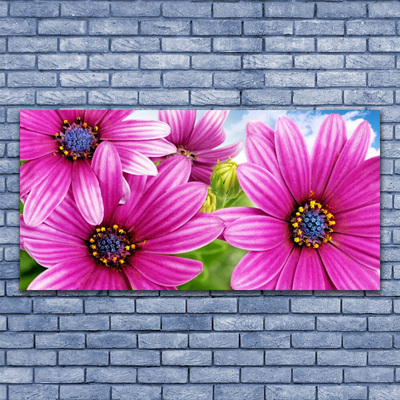 Canvas Kunstdruck Blumen Pflanzen