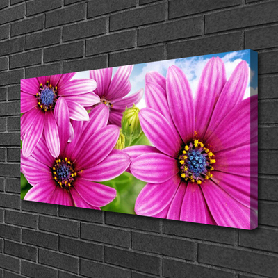 Canvas Kunstdruck Blumen Pflanzen