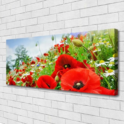 Canvas Kunstdruck Blumen Natur