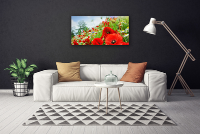 Canvas Kunstdruck Blumen Natur