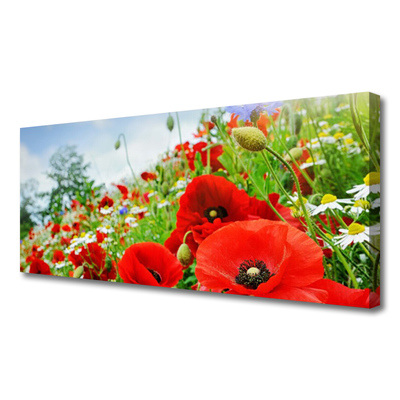 Canvas Kunstdruck Blumen Natur