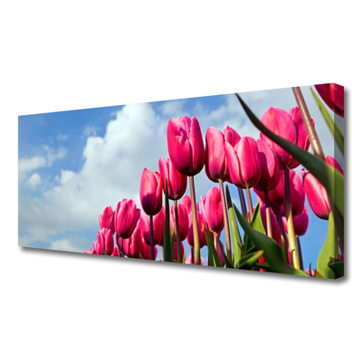 Canvas Kunstdruck Tulpe Pflanzen