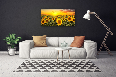 Canvas Kunstdruck Sonnenblumen Pflanzen