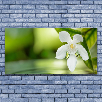 Canvas Kunstdruck Blume Blätter Pflanzen