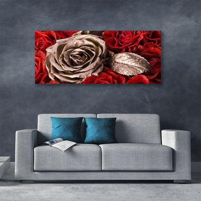 Canvas Kunstdruck Roses Pflanzen