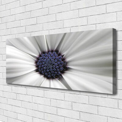 Canvas Kunstdruck Blume Pflanzen