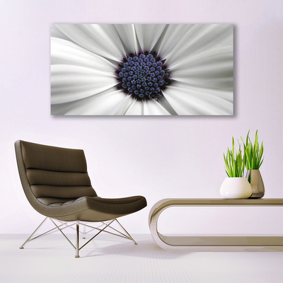 Canvas Kunstdruck Blume Pflanzen