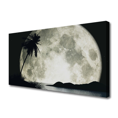 Canvas Kunstdruck Nacht Mond Palme Landschaft