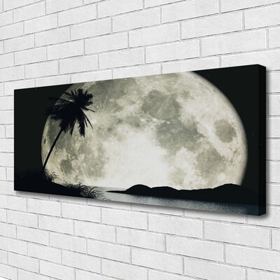 Canvas Kunstdruck Nacht Mond Palme Landschaft