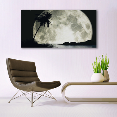 Canvas Kunstdruck Nacht Mond Palme Landschaft