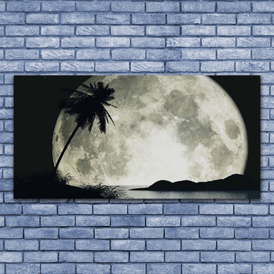 Canvas Kunstdruck Nacht Mond Palme Landschaft