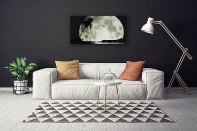 Canvas Kunstdruck Nacht Mond Palme Landschaft