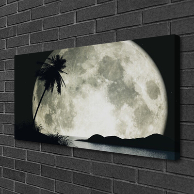 Canvas Kunstdruck Nacht Mond Palme Landschaft