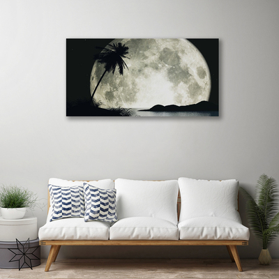 Canvas Kunstdruck Nacht Mond Palme Landschaft