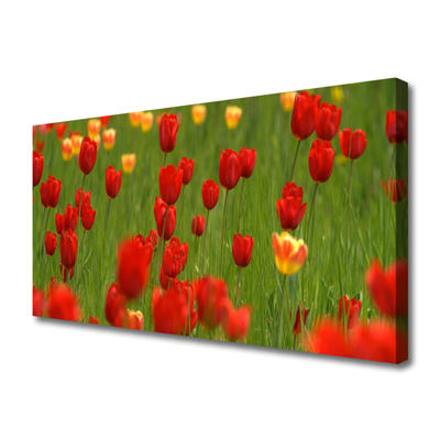 Canvas Kunstdruck Tulpen Natur