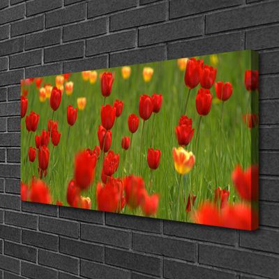 Canvas Kunstdruck Tulpen Natur