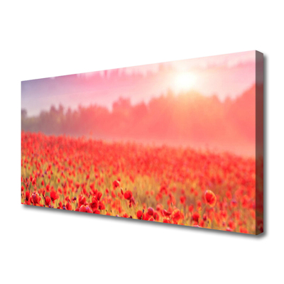 Canvas Kunstdruck Wiese Blumen Natur