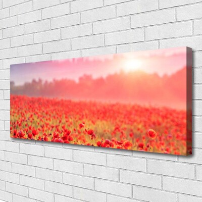 Canvas Kunstdruck Wiese Blumen Natur