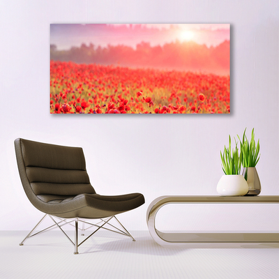 Canvas Kunstdruck Wiese Blumen Natur