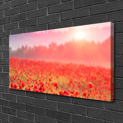 Canvas Kunstdruck Wiese Blumen Natur