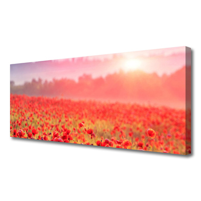 Canvas Kunstdruck Wiese Blumen Natur