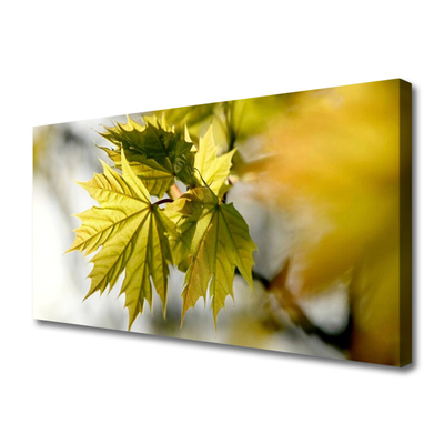 Canvas Kunstdruck Blätter Pflanzen