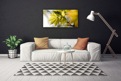 Canvas Kunstdruck Blätter Pflanzen
