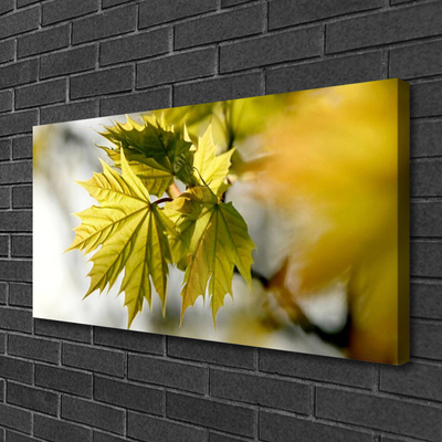 Canvas Kunstdruck Blätter Pflanzen