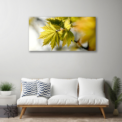 Canvas Kunstdruck Blätter Pflanzen