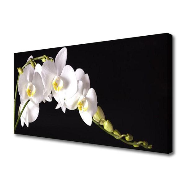 Canvas Kunstdruck Blumen Pflanzen