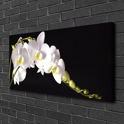 Canvas Kunstdruck Blumen Pflanzen