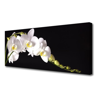 Canvas Kunstdruck Blumen Pflanzen