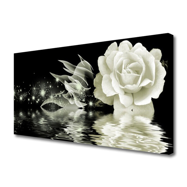 Canvas Kunstdruck Rose Pflanzen