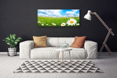 Canvas Kunstdruck Gänseblümchen Gras Natur