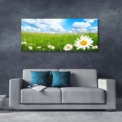 Canvas Kunstdruck Gänseblümchen Gras Natur