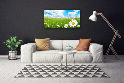 Canvas Kunstdruck Gänseblümchen Gras Natur