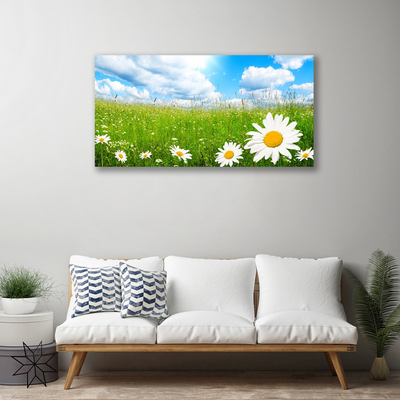 Canvas Kunstdruck Gänseblümchen Gras Natur