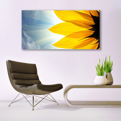 Canvas Kunstdruck Blütenblätter Pflanzen