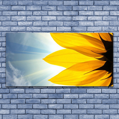 Canvas Kunstdruck Blütenblätter Pflanzen