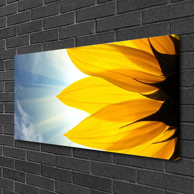 Canvas Kunstdruck Blütenblätter Pflanzen