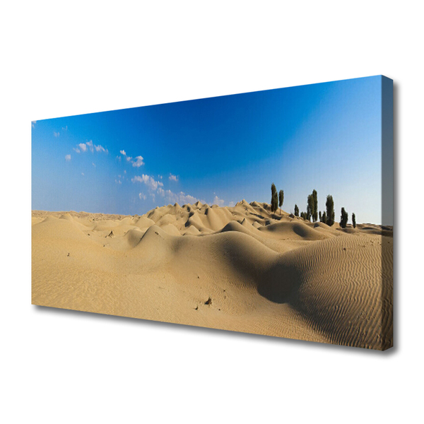 Canvas Kunstdruck Wüste Landschaft