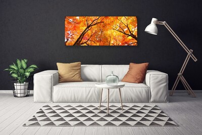 Canvas Kunstdruck Bäume Natur