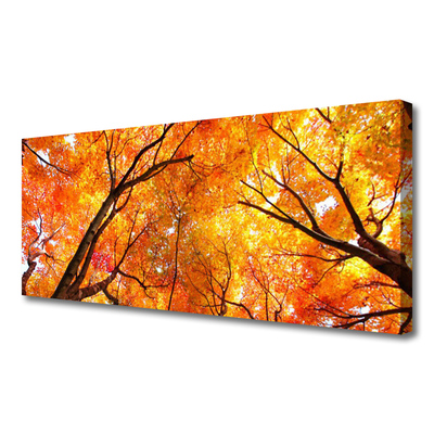 Canvas Kunstdruck Bäume Natur