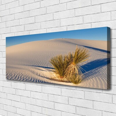 Canvas Kunstdruck Wüste Landschaft