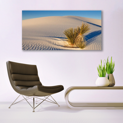 Canvas Kunstdruck Wüste Landschaft