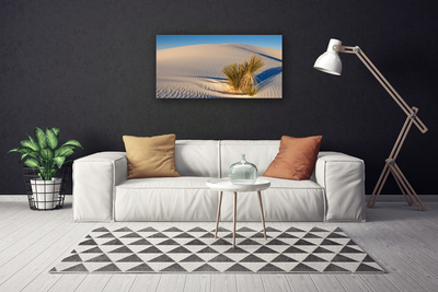 Canvas Kunstdruck Wüste Landschaft